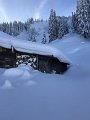 02_16. Jan 21_SAC Schneeschuhtour Schwarzsee (117)